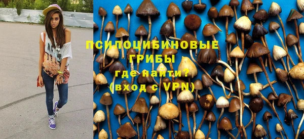 прущие крисы Пролетарск