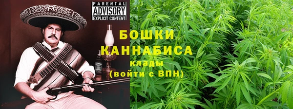 ПСИЛОЦИБИНОВЫЕ ГРИБЫ Протвино