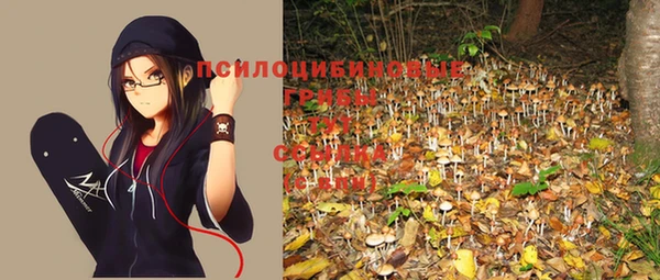 прущие крисы Пролетарск