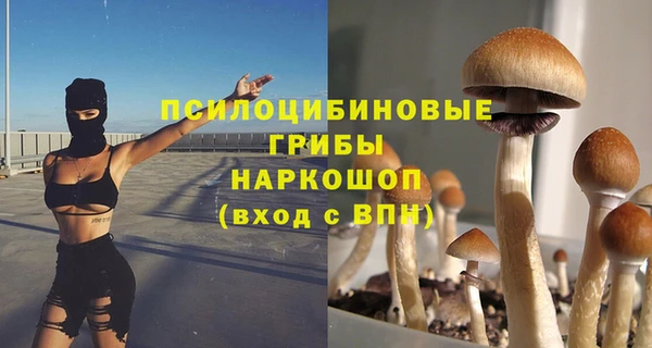 молекула духа Новосибирск