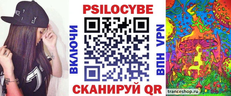 Галлюциногенные грибы Psilocybe  Тихорецк 