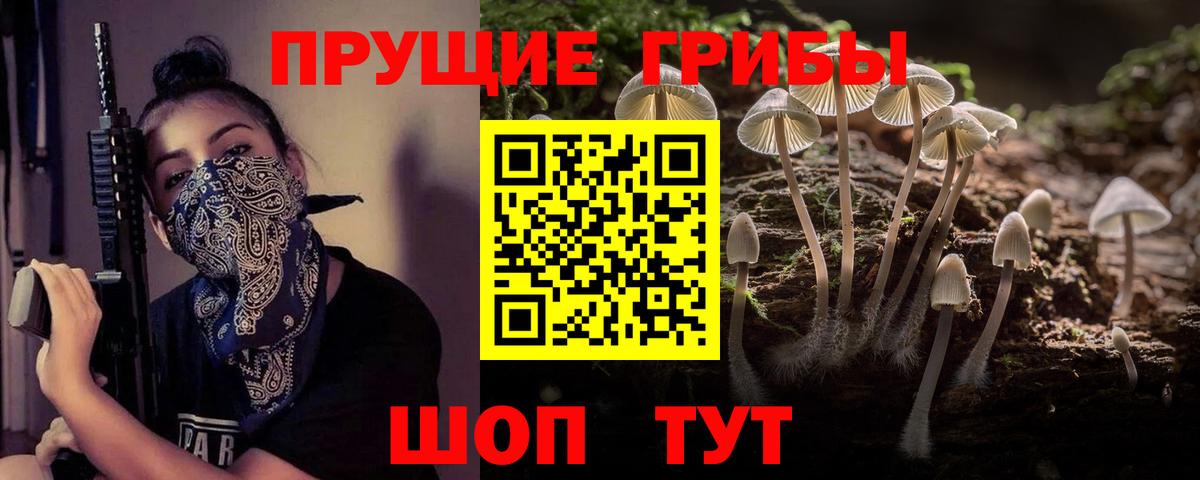 Галлюциногенные грибы ЛСД  Псилоцибиновые грибы Psilocybe  Тихорецк  Вход с VPN 