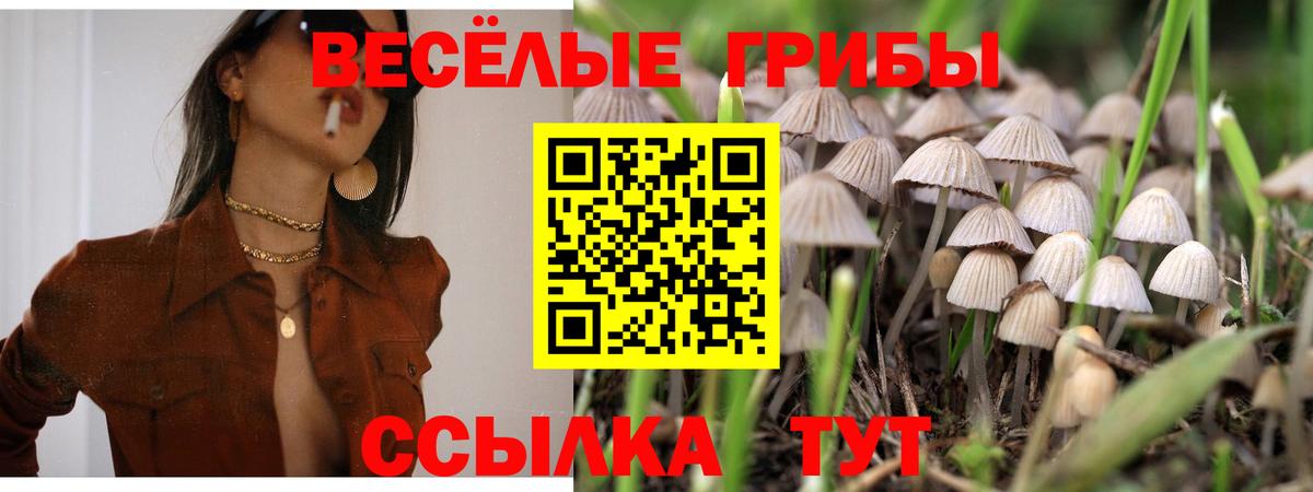 Псилоцибиновые грибы Magic Shrooms Тихорецк